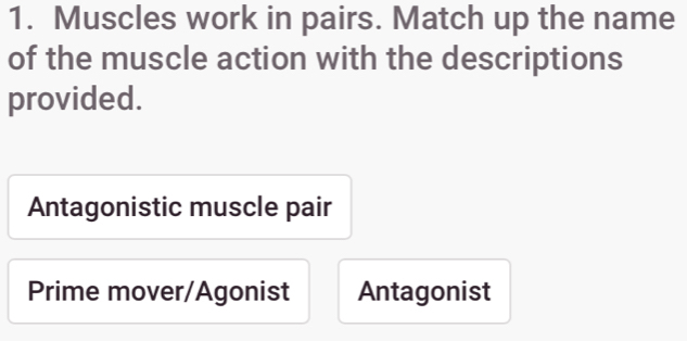 Muscles work in pairs. Match up the name 
of the muscle action with the descriptions 
provided. 
Antagonistic muscle pair 
Prime mover/Agonist Antagonist