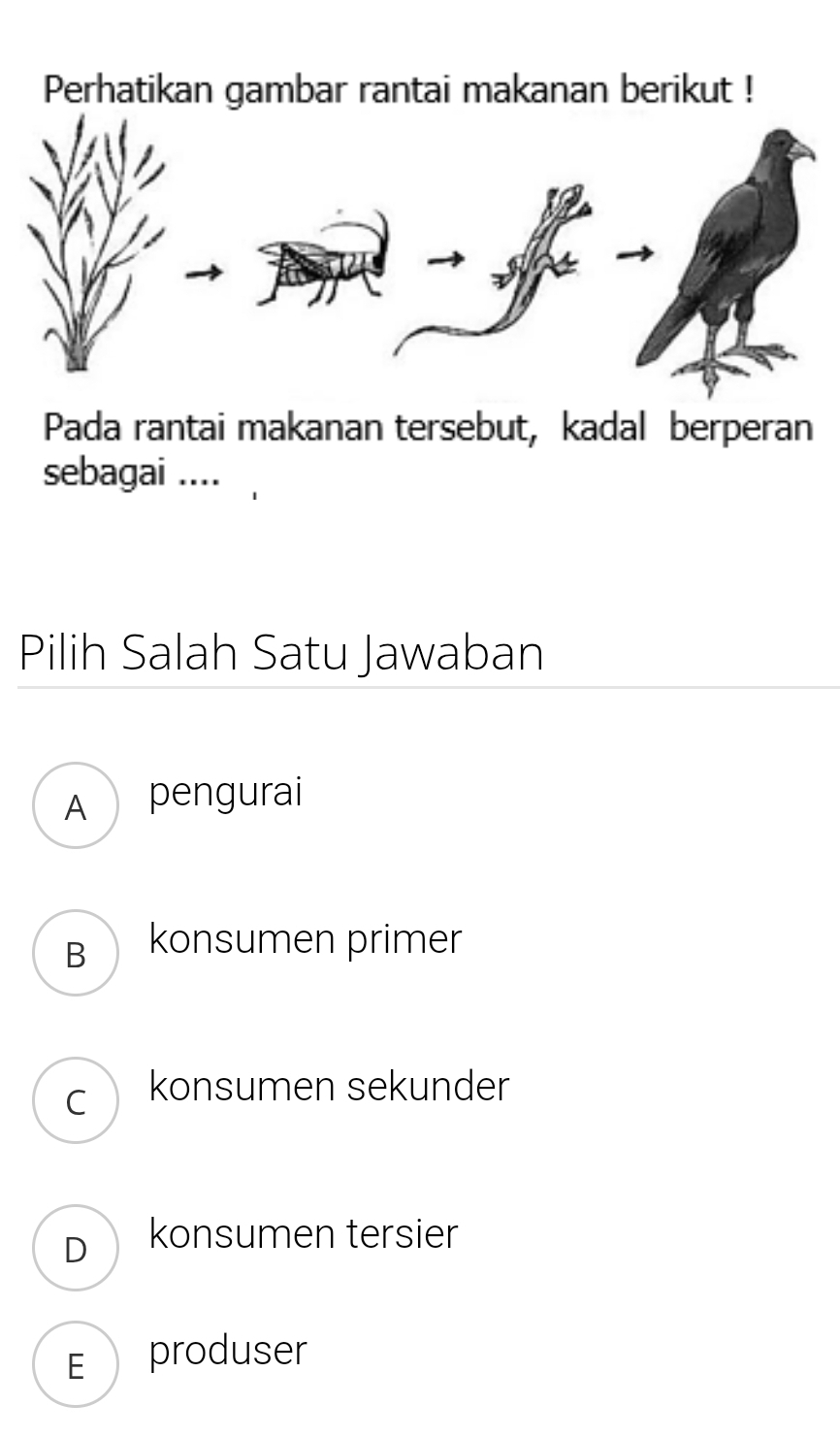 Perhatikan gambar rantai makanan berikut !
Pada rantai makanan tersebut, kadal berperan
sebagai ....
Pilih Salah Satu Jawaban
A pengurai
B konsumen primer
c  konsumen sekunder
D konsumen tersier
E produser