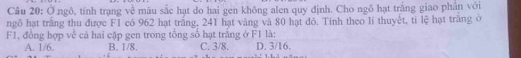 Ở ngô, tính trạng về màu sắc hạt do hai gen không alen quy định. Cho ngô hạt trắng giao phần với
ngô hạt trăng thu được F1 có 962 hạt trắng, 241 hạt vàng và 80 hạt đỏ. Tính theo lí thuyết, ti lệ hạt trăng ở
F1, đồng hợp về cả hai cặp gen trong tổng số hạt trắng ở F1 là:
A. 1/6. B. 1/8. C. 3/8. D. 3/16.