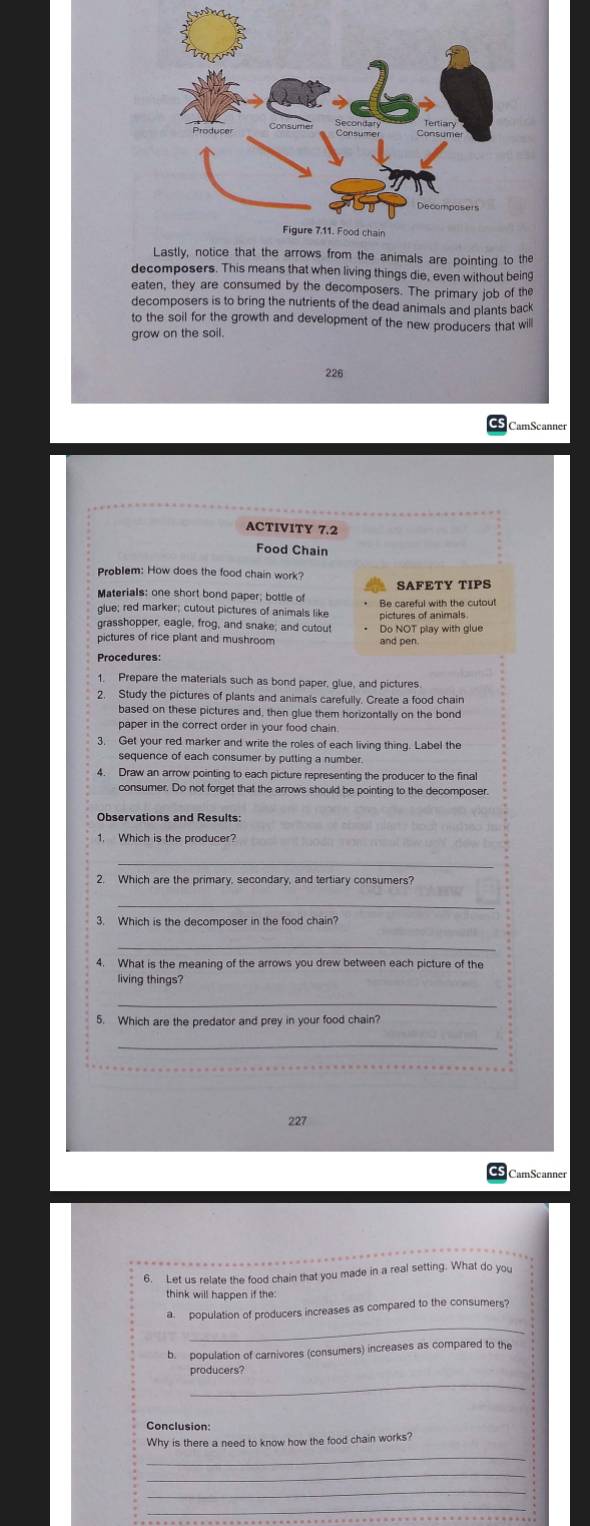 Lastly, notice that the arrows from the animals are pointing to the 
decomposers. This means that when living things die, even without being 
eaten, they are consumed by the decomposers. The primary job of the 
decomposers is to bring the nutrients of the dead animals and plants back 
to the soil for the growth and development of the new producers that will 
grow on the soil. 
226 
ACTIVITY 7.2 
Food Chain 
Problem: How does the food chain work? 
Materials: one short bond paper; bottle of SAFETY TIPS 
glue; red marker; cutout pictures of animals lik Be careful with the cutout 
grasshopper, eagle, frog, and snake; and cutout Do NOT play with glue 
pictures of rice plant and mushroom and pen. 
Procedures: 
1. Prepare the materials such as bond paper, glue, and pictures 
2. Study the pictures of plants and animals carefully. Create a food chain 
based on these pictures and, then glue them horizontally on the bond 
paper in the correct order in your food chain. 
3. Get your red marker and write the roles of each living thing. Label the 
sequence of each consumer by putting a number. 
4. Draw an arrow pointing to each picture representing the producer to the fina 
consumer. Do not forget that the arrows should be pointing to the decomposer. 
Observations and Results: 
_ 
2. Which are the primary, secondary, and tertiary consumers? 
_ 
3. Which is the decomposer in the food chain? 
_ 
4. What is the meaning of the arrows you drew between each picture of the 
living things? 
5. Which are the predator and prey in your food chain? 
_ 
_ 
227 
CamScanner 
6. Let us relate the food chain that you made in a real setting. What do you 
think will happen if the: 
_ 
a. population of producers increases as compared to the consumers? 
b. population of carnivores (consumers) increases as compared to the 
producers? 
_ 
Conclusion: 
Why is there a need to know how the food chain works? 
_ 
_ 
_ 
_