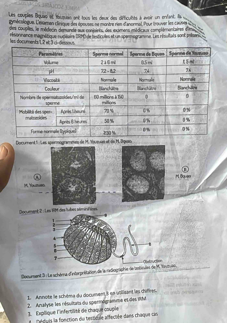 Les couples Bquao et Youzuao ont tous les deux des difficultés à avoir un enfant. Ils 
gynécologue. L'examen clinique des épouses ne montre rien d'anormal. Pour trouver les causes 
des couples, le médecin demande aux conjoints, des examens médicaux complémentaires d'im 
mésonnance magnétique nucléaire (IRM) de testicules et un spermogramme. Les résultats sont présen 
les documents 1, 2 et 3 ci-dessous. 
Document 1 : Les spermogrammes de M. Youzuao et de M. Bquap, 
B 
a M. Bquao 
M. Youzuao. 
Document 2 Les IRM des tubes séminifères. 
Document 3 : Le schéma d'interprétation de la radiographie de testicules, 
1. Annote le schéma du document 3 en utilisant les chiffres. 
2. Analyse les résultats du spermogramme et des IRM 
3. Explique l'infertilité de chaque couple 
Déduis la fonction du testicule affectée dans chaque cas