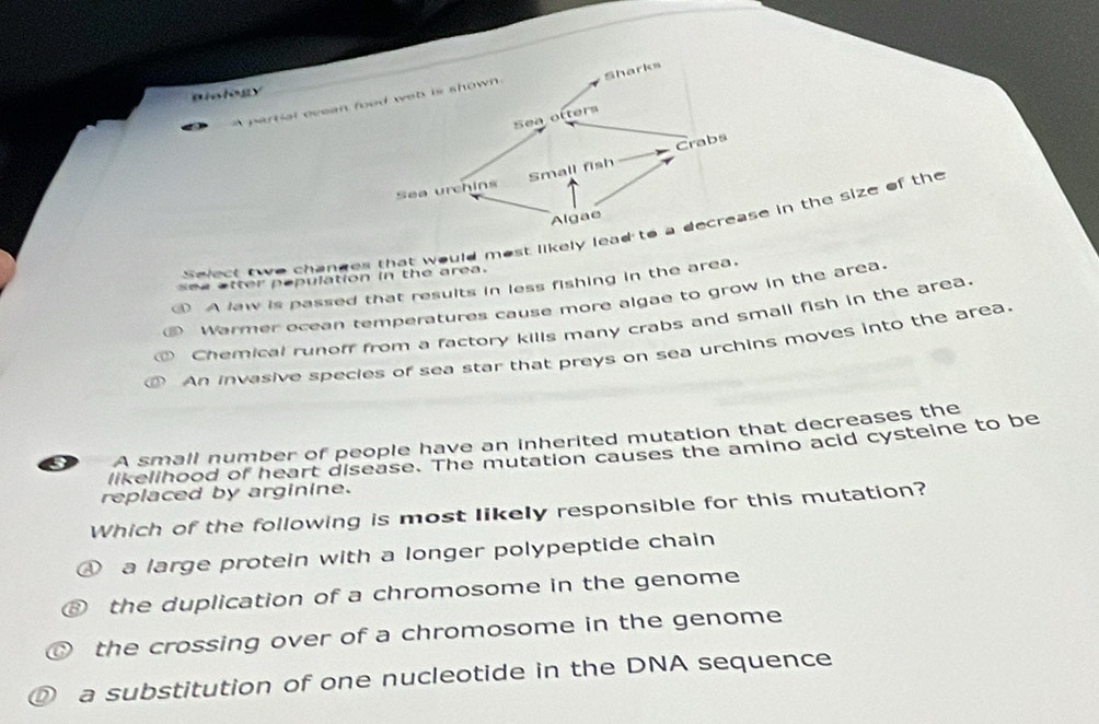 mialogy
a partial evean fo
Select two changes that would most likely leade in the size of the
see etter pepulation in the area.
A law is passed that results in less fishing in the area.
Warmer ocean temperatures cause more algae to grow in the area.
Chemical runoff from a factory kills many crabs and small fish in the area.
An invasive species of sea star that preys on sea urchins moves into the area.
3 A small number of people have an inherited mutation that decreases the
likelihood of heart disease. The mutation causes the amino acid cysteine to be
replaced by arginine.
Which of the following is most likely responsible for this mutation?
a large protein with a longer polypeptide chain
the duplication of a chromosome in the genome
the crossing over of a chromosome in the genome
① a substitution of one nucleotide in the DNA sequence