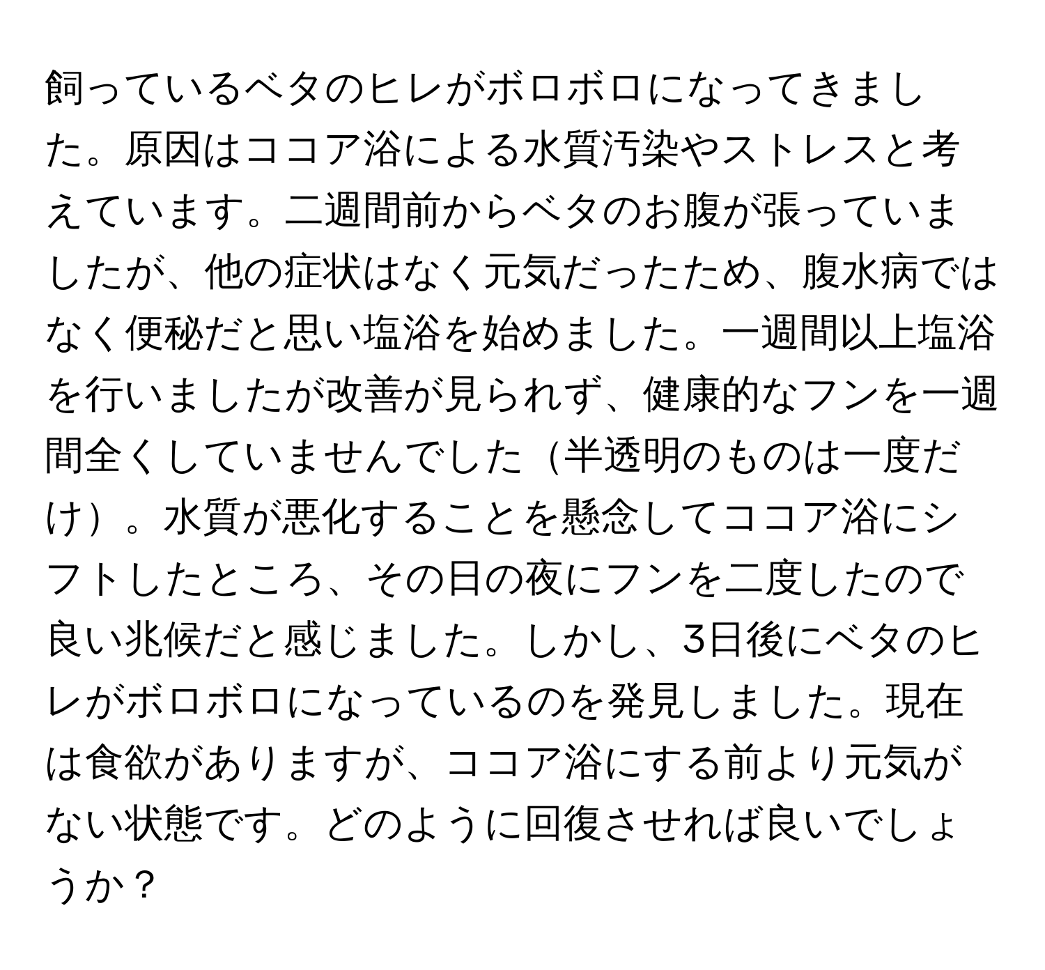 飼っているベタのヒレがボロボロになってきました。原因はココア浴による水質汚染やストレスと考えています。二週間前からベタのお腹が張っていましたが、他の症状はなく元気だったため、腹水病ではなく便秘だと思い塩浴を始めました。一週間以上塩浴を行いましたが改善が見られず、健康的なフンを一週間全くしていませんでした半透明のものは一度だけ。水質が悪化することを懸念してココア浴にシフトしたところ、その日の夜にフンを二度したので良い兆候だと感じました。しかし、3日後にベタのヒレがボロボロになっているのを発見しました。現在は食欲がありますが、ココア浴にする前より元気がない状態です。どのように回復させれば良いでしょうか？