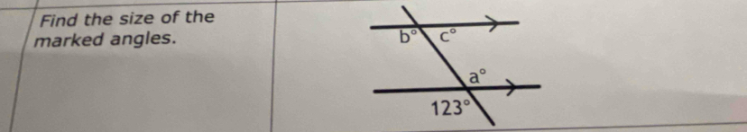 Find the size of the
marked angles.