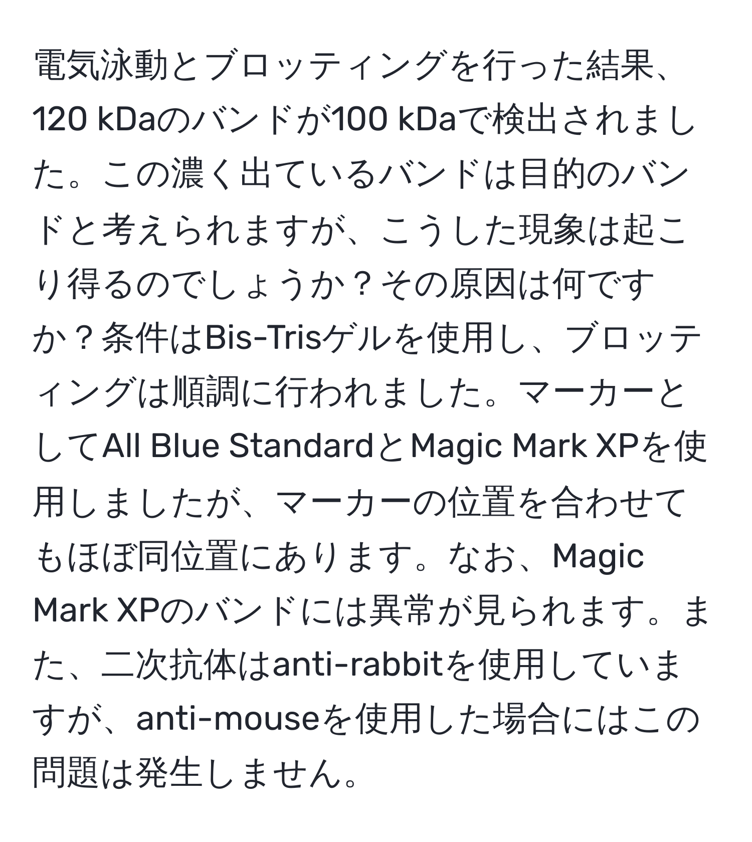 電気泳動とブロッティングを行った結果、120 kDaのバンドが100 kDaで検出されました。この濃く出ているバンドは目的のバンドと考えられますが、こうした現象は起こり得るのでしょうか？その原因は何ですか？条件はBis-Trisゲルを使用し、ブロッティングは順調に行われました。マーカーとしてAll Blue StandardとMagic Mark XPを使用しましたが、マーカーの位置を合わせてもほぼ同位置にあります。なお、Magic Mark XPのバンドには異常が見られます。また、二次抗体はanti-rabbitを使用していますが、anti-mouseを使用した場合にはこの問題は発生しません。