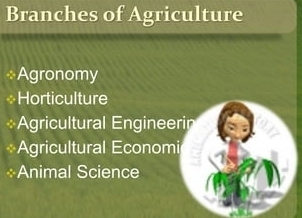 Branches of Agriculture
Agronomy
Horticulture
Agricultural Engineerin
Agricultural Economi
Animal Science