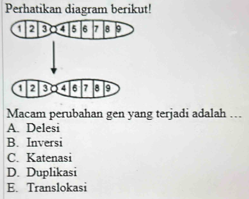 Perhatikan diagram berikut!
Macam perubahan gen yang terjadi adalah ..
A. Delesi
B. Inversi
C. Katenasi
D. Duplikasi
E. Translokasi