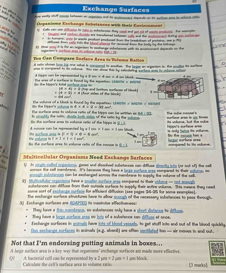 Exchange Surfaces
on plen s Now esslly stuff mtmos between an crseniam and its envtmument depends on its surless ar to voloms ralic
into the  
red in cs 
Organisms Exchange Substances with their Environment
t) Celle can use diffusion to take in substences they naed and set nd of wasts seadusts. For ensople:
mnu to om the so 
. Cxuten and sarbon dicdds are transterred between cells and the smiconment during sas mcbesit 
In humane, sizms (a waste product produced from the braakdown of protains, see p.75)
diffuses from sells into the blood plaama for removal from the body by the kidneys .
cal t by  s   2) How sasy it is for an organism to exchange substances with its environment depends on the
and then
organiam's surfsos aras to voluma rato (SA,Y).
You Can Compare Surface Area to Volume Ratios
A ratio shows bow big one value is compared to another. The larger an organism is, the smaller its sunface
Nabe   erea is compered to its volume. You can show this by caloulating surface aree to voise raties
ls by  _ A hippo can be represented by a 2cm* 4cm* 4
** P as 
am blook.
The aree of a surface is found by the equation: LENGTH * WIDTH
So the hippo's total surface ares is:
(4* 4)* 2 (top and bottom surfaces of block)
Y
+(4* 2)* 4 (four sides of the block)
=64cm^2,
The volume of a block is found by the squation: LENOTH × WIDTH × HEIOHT
slow).
So the hippo's voluma is 4* 4* 2=32cm^3,
The surface area to volume ratio of the hippo can be written as 64:32 The cube mouss's
To simplity the retio, divide both sides of the ratio by the volume. surface area is ax times 
So the surface area to volume ratio of the hippo is 2:1 its volume, but the cube
A mouse can be represented by a 1cm* 1cm* 1 cm block. hippo's surface area
He surface area is (1* 1)* 6=6cm^2, 1 cm 1 cm is only twice its volume.
Hs volume is 1* 1* 1=1cm^2, Bo the mouse has a
1 cm larger surface area
So the surface area to volume ratio of the mouse is θ :1, compared to its volume.
Ins Multicellular Organisms Need Exchange Surfaces
the
1) In single-called organisms, gases and dissolved substances can diffuse directly into (or out of) the cell
blosa across the cell membrane. It's because they have a large surface area compared to their volume, so
anough substances can be exchanged across the membrane to supply the volume of the cell.
2) Multicellular organisms have a smaller surface area compared to their volume — not enough
substances can diffuse from their outside surface to supply their entire volume. This means they need
some sort of exchange surface for efficient diffusion (see pages 24-25 for some examples).
The exchange surface structures have to allow snough of the necessary substances to pass through.
3) Exchange surfaces are ADAPTED to maximise effectiveness:
They have a thin membrane, so substances only have a short distance to diffuse.
They have a large surface area so lots of a substance can diffuse at once.
Exchange surfaces in animals have lots of blood vessels, to get stuff into and out of the blood quickly.
Oas exchange surfaces in animals (e.g. alveoli) are often ventilated too — air moves in and out.
Not that I’m endorsing putting animals in boxes...
A large surface area is a key way that organisms’ exchange surfaces are made more effective.
Q1 A bacterial cell can be represented by a 2mu m* 2mu m* 1 μm block. O1 Vídeo Selution
Calculate the cell's surface area to volume ratio. [3 marks]