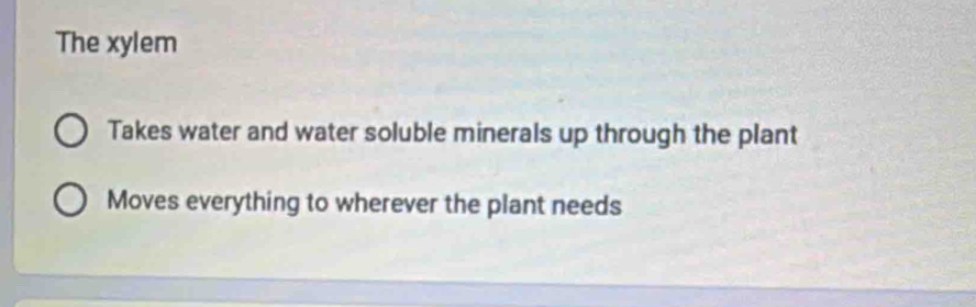 The xylem
Takes water and water soluble minerals up through the plant
Moves everything to wherever the plant needs