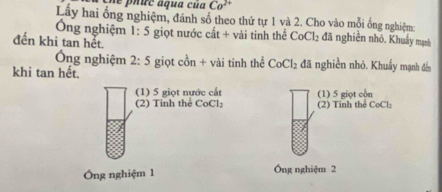 êne phức áqua của Co^(2+)
Lầy hai ống nghiệm, đánh số theo thứ tự 1 và 2. Cho vào mỗi ống nghiệm: 
Ông nghiệm 1:5 giọt nước cất + vài tinh thể CoCl_2 đã nghiền nhỏ. Khuẩy mạnh 
đến khi tan hết. 
Ông nghiệm 2:5 giọt cồn + vài tinh thể CoCl_2 đã nghiền nhỏ. Khuẩy mạnh đến 
khi tan hết. 
(1) 5 giọt nước cất (1) 5 giọt cồn 
(2) Tinh thể CoCl_2 (2) Tinh thể CoCl₂
Ông nghiệm 1 
Ông nghiệm 2