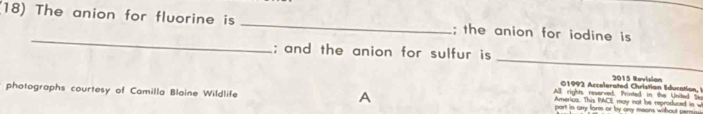 (18) The anion for fluorine is _; the anion for iodine is 
_ 
_ 
; and the anion for sulfur is 
2015 Revision 
01992 Accelerated Christian Education, 
A 
All rights reserved, Printed in the United St 
photographs courtesy of Camilla Blaine Wildlife part in any form or by any means without permiy . 
America. This PACE may not be reproduced in w