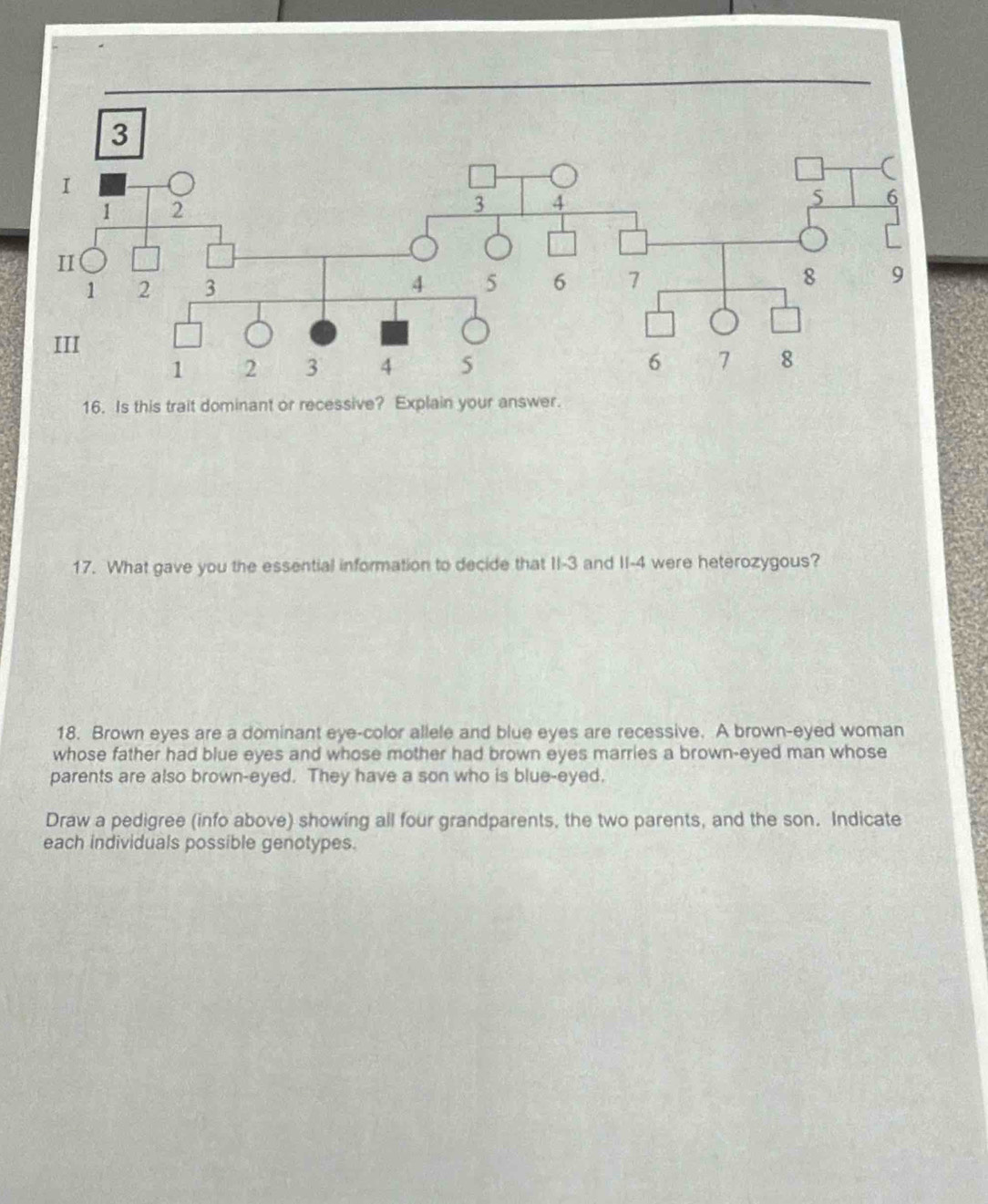 Is this trait dominant or recessive? Explain your answer. 
17. What gave you the essential information to decide that II -3 and II- 4 were heterozygous? 
18. Brown eyes are a dominant eye-color allele and blue eyes are recessive. A brown-eyed woman 
whose father had blue eyes and whose mother had brown eyes marries a brown-eyed man whose 
parents are also brown-eyed. They have a son who is blue-eyed. 
Draw a pedigree (info above) showing all four grandparents, the two parents, and the son. Indicate 
each individuals possible genotypes.