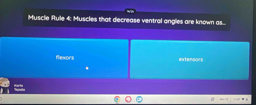 14/26
Muscle Rule 4: Muscles that decrease ventral angles are known as...
flexors extensors
Karla
Tejada
Nov