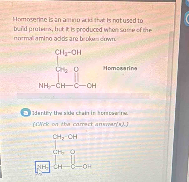 Homoserine is an amino acid that is not used to
build proteins, but it is produced when some of the
normal amino acids are broken down.
beginarrayr CH_2COH CH_2O HH_2-CH-OHendarray. Homoserine
Identify the side chain in homoserine.
(Click on the correct answer(s).)
beginarrayr CH_2OH CH_2O H_2O