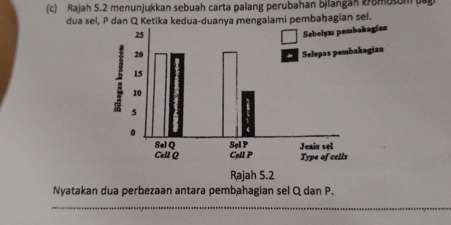 Rajah 5.2 menunjukkan sebuah carta palang perubahan bilangan kromosom pagi 
dua sel, P dan Q Ketika kedua-duanya mengalami pembahagian sel. 
Sebelum pembakagían 
n 
Nyatakan dua perbezaan antara pembahagian sel Q dan P. 
_