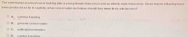 The veterinarian ata local zoo is looking after a young lemale rhinoceros and an elderly male rhinoceros . Given that no offs pring have
been produced so lar in captivity, what conservation technique should they most likely atempt next?
A. camera trapping
B. genome conservation
C. artificial inse minatio n
D. captive breeding