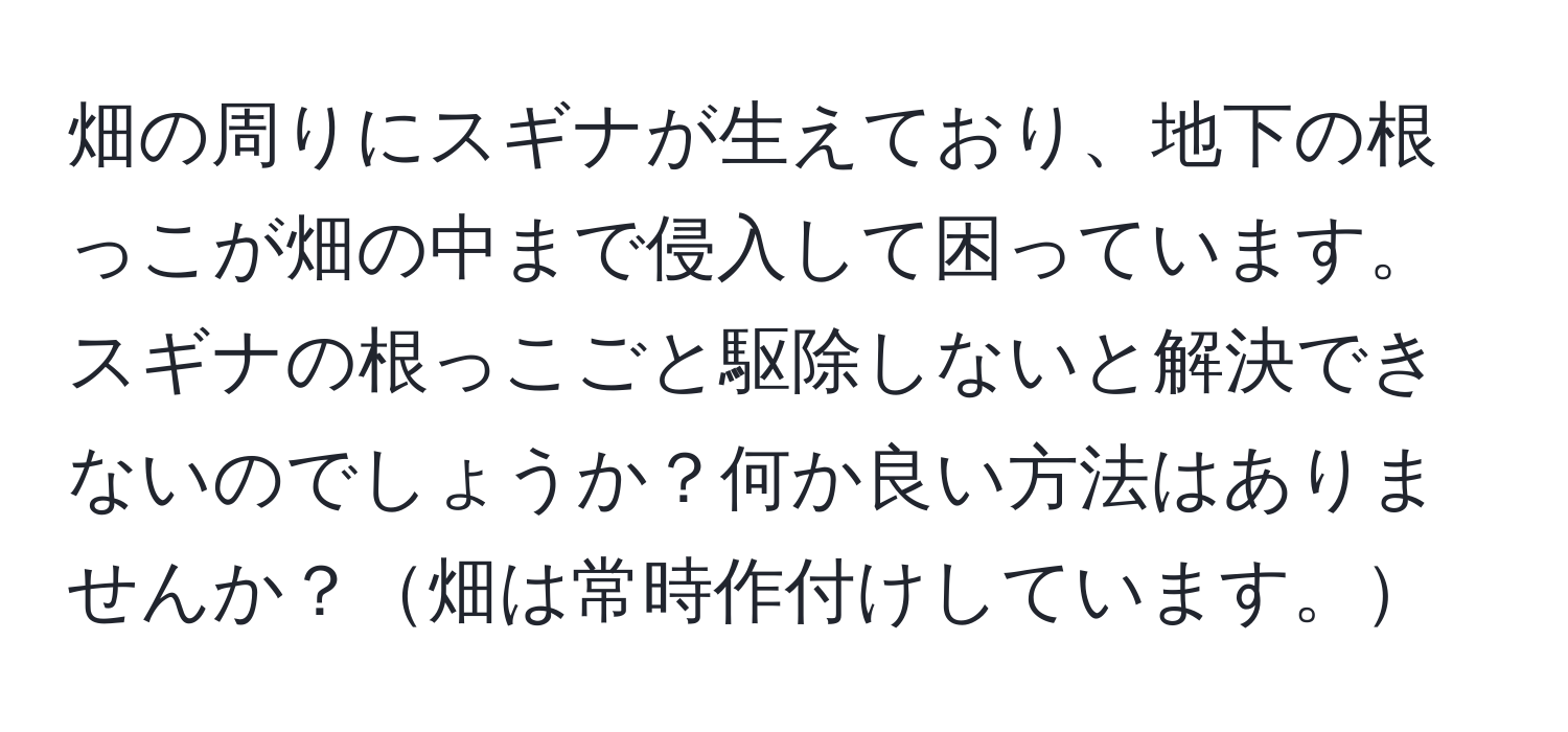 畑の周りにスギナが生えており、地下の根っこが畑の中まで侵入して困っています。スギナの根っこごと駆除しないと解決できないのでしょうか？何か良い方法はありませんか？畑は常時作付けしています。