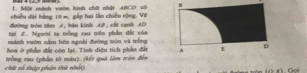 Bái 4 (2,5 dièm). 
1. Một mảnh vườn hình chữ nhật ABCD có 
chiều dài bằng 10 m, gắp hai lằn chiều rộng. Vẽ 
đường tròn tâm A, bán kính AB, cắt cạnh AD
tại E. Người ta trồng rau trên phần đất của 
mảnh vườn nằm bên ngoài đường tròn và trồng 
hoa ở phần đất còn lại. Tính diện tích phần đất 
trồng rau (phần tô màu). (kết quá làm tròn đến 
chữ số thập phân thứ nhất). 
n (O-R). Goi