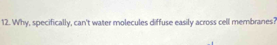 Why, specifically, can't water molecules diffuse easily across cell membranes?