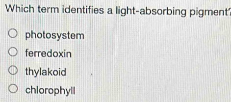 Which term identifies a light-absorbing pigment?
photosystem
ferredoxin
thylakoid
chlorophyll