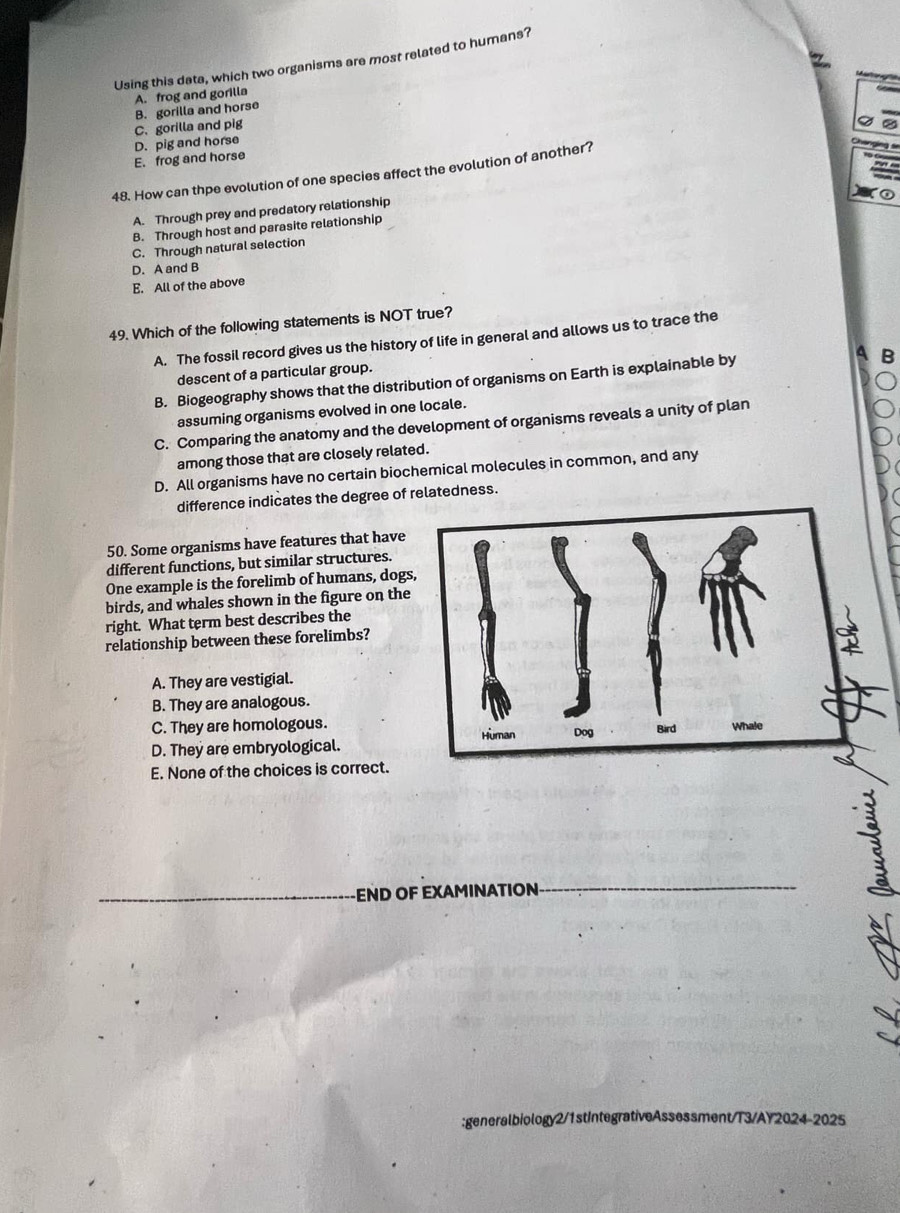 Using this data, which two organisms are most related to humans?
A. frog and gorilla
C. gorilla and pig B. gorilla and horse
E. frog and horse D. pig and horse
48. How can thpe evolution of one species affect the evolution of another?
A. Through prey and predatory relationship
B. Through host and parasite relationship
C. Through natural selection
D. A and B
E. All of the above
49. Which of the following statements is NOT true?
A. The fossil record gives us the history of life in general and allows us to trace the
R
descent of a particular group.
B. Biogeography shows that the distribution of organisms on Earth is explainable by
assuming organisms evolved in one locale.
C. Comparing the anatomy and the development of organisms reveals a unity of plan
among those that are closely related.
D. All organisms have no certain biochemical molecules in common, and any
difference indicates the degree of relatedness.
50. Some organisms have features that have
different functions, but similar structures.
One example is the forelimb of humans, dogs
birds, and whales shown in the figure on the
right. What term best describes the
relationship between these forelimbs?
A. They are vestigial.
B. They are analogous.
C. They are homologous.
D. They are embryological.
E. None of the choices is correct.
END OF EXAMINATION
:generalbiology2/1stIntegrativeAssessment/T3/AY2024-2025