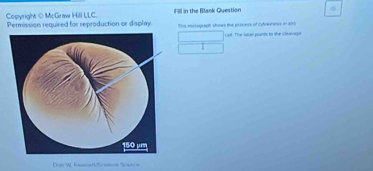 Copyright © McGraw Hill LLC. Fill in the Blank Question 

Permission required for reproduction or display. This micrograph shows the process of cytokinesis in a(ri) 
cell. The label points to the cleavage 
I 
Don W. Fewcett:Scuence Scurce