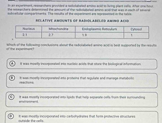 In an experiment, researchers provided a radiolabeled amino acid to living plant cells. After one hour
the researchers determined the amount of the radiolabeled amino acid that was in each of several
subceilular compartments. The results of the experiment are represented in the table.
RELATIVE AMOUNTS OF RADIOLABELED AMINO ACID
Which of the following conclusions about the radiolabeled amino acid is best supported by the results
of the experiment?
a It was mostly incorporated into nucleic acids that store the biological information.
It was mostly incurporated into proteins that regulate and manage metabolic
reactions
a It was mostly incorporated into lipids that help separate cells frorn their surrounding
environment.
o It was mostly incorporated into carbohydrates that form protective structures
outside the cells.