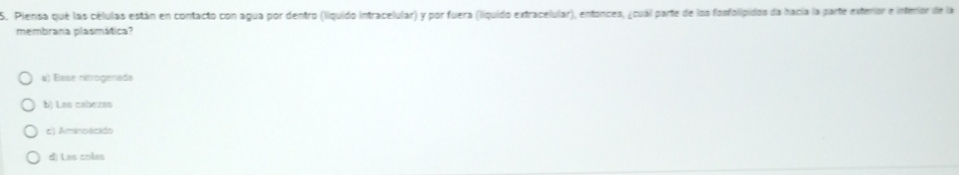 Piensa que las células están en contacto con agua por dentro (liquido intracelular) y por fuera (liquido extracelular), entonces, ¿cuál parte de los fonfolipidos da hacia la parte exterior e interior de la
membrana plasmática?
a) Base nitrogenada
b) Las cabezas
t) Aminoécido
d) Las colas