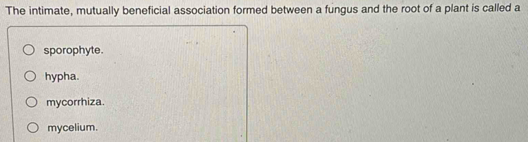 The intimate, mutually beneficial association formed between a fungus and the root of a plant is called a
sporophyte.
hypha.
mycorrhiza.
mycelium.
