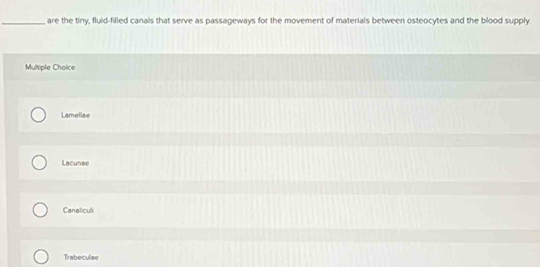 are the tiny, fluid-filled canals that serve as passageways for the movement of materials between osteocytes and the blood supply.
Multiple Choice
Lamellae
Lacunae
Canaliculi
Trabeculae