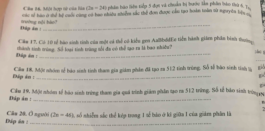 Câu 16, Một hợp tử của lúa (2n=24) phân bào liên tiếp 5 đợt và chuẩn bị bước lần phân bào thứ 6. Trụ 
các tế bào ở thể hệ cuối cùng có bao nhiêu nhiễm sắc thể đơn được cấu tạo hoàn toàn tử nguyên liệu của 
_ 
trưởng nội bảo? 
Đáp án : 
Câu 17. Có 10 tế bào sinh tinh của một cá thể có kiểu gen AaBbddEe tiến hành giảm phân bình thường 
_ 
thành tinh trùng. Số loại tinh trùng tối đa có thể tạo ra là bao nhiêu? 
các g 
_ 
Đáp án : 
Câu 18. Một nhóm tế bào sinh tinh tham gia giảm phân đã tạo ra 512 tinh trùng. Số tế bào sinh tinh là gió 
Đáp án :_ 
gié 
gi 
Câu 19. Một nhóm tế bảo sinh trứng tham gia quá trình giảm phân tạo ra 512 trứng. Số tế bào sinh trứng N 
Đáp án :_ 
n 
2 
Câu 20. Ở người (2n=46) 0, số nhiễm sắc thể kép trong 1 tế bào ở kì giữa I của giảm phân là 
Đáp án :_