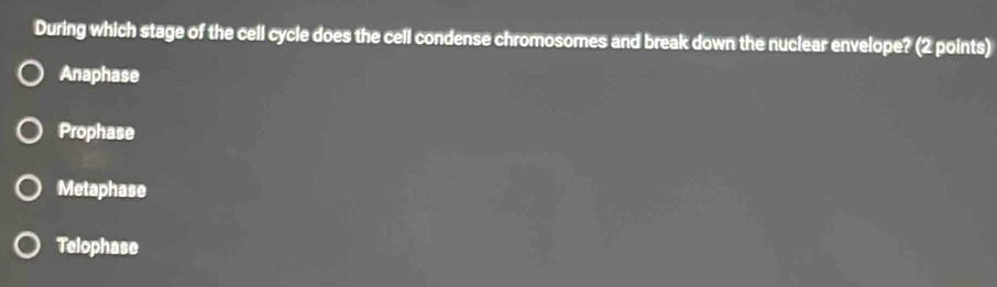 During which stage of the cell cycle does the cell condense chromosomes and break down the nuclear envelope? (2 points)
Anaphase
Prophase
Metaphase
Telophase