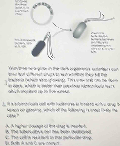 With their new glow-in-the-dark organisms, scientists can
then test different drugs to see whether they kill the
bacteria (which stop glowing). This new test can be done
in days, which is faster than previous tuberculosis tests
which required up to five weeks.
If a tuberculosis cell with luciferase is treated with a drug be
keeps on glowing, which of the following is most likely the
case?
A. A higher dosage of the drug is needed.
B. The tuberculosis cell has been destroyed.
C. The cell is resistant to that particular drug.
D. Both A and C are correct.