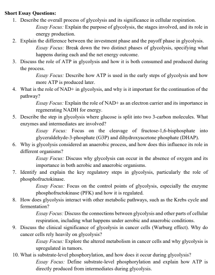 Short Essay Questions:
1. Describe the overall process of glycolysis and its significance in cellular respiration.
Essay Focus: Explain the purpose of glycolysis, the stages involved, and its role in
energy production.
2. Explain the difference between the investment phase and the payoff phase in glycolysis.
Essay Focus: Break down the two distinct phases of glycolysis, specifying what
happens during each and the net energy outcome.
3. Discuss the role of ATP in glycolysis and how it is both consumed and produced during
the process.
Essay Focus: Describe how ATP is used in the early steps of glycolysis and how
more ATP is produced later.
4. What is the role of NAD+ in glycolysis, and why is it important for the continuation of the
pathway?
Essay Focus: Explain the role of NAD+ as an electron carrier and its importance in
regenerating NADH for energy.
5. Describe the step in glycolysis where glucose is split into two 3-carbon molecules. What
enzymes and intermediates are involved?
Essay Focus: Focus on the cleavage of fructose-1,6-bisphosphate into
glyceraldehyde-3-phosphate (G3P) and dihydroxyacetone phosphate (DHAP).
6. Why is glycolysis considered an anaerobic process, and how does this influence its role in
different organisms?
Essay Focus: Discuss why glycolysis can occur in the absence of oxygen and its
importance in both aerobic and anaerobic organisms.
7. Identify and explain the key regulatory steps in glycolysis, particularly the role of
phosphofructokinase.
Essay Focus: Focus on the control points of glycolysis, especially the enzyme
phosphofructokinase (PFK) and how it is regulated
8. How does glycolysis interact with other metabolic pathways, such as the Krebs cycle and
fermentation?
Essay Focus: Discuss the connections between glycolysis and other parts of cellular
respiration, including what happens under aerobic and anaerobic conditions.
9. Discuss the clinical significance of glycolysis in cancer cells (Warburg effect). Why do
cancer cells rely heavily on glycolysis?
Essay Focus: Explore the altered metabolism in cancer cells and why glycolysis is
upregulated in tumors.
10. What is substrate-level phosphorylation, and how does it occur during glycolysis?
Essay Focus: Define substrate-level phosphorylation and explain how ATP is
directly produced from intermediates during glycolysis.