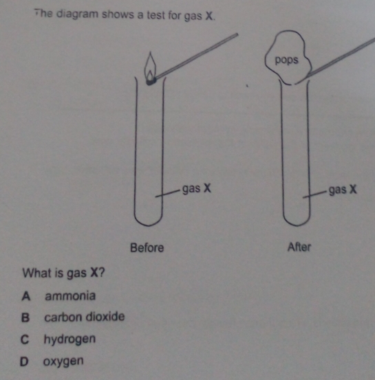 Solved: The diagram shows a test for gas X. pops gas X gas X Before ...