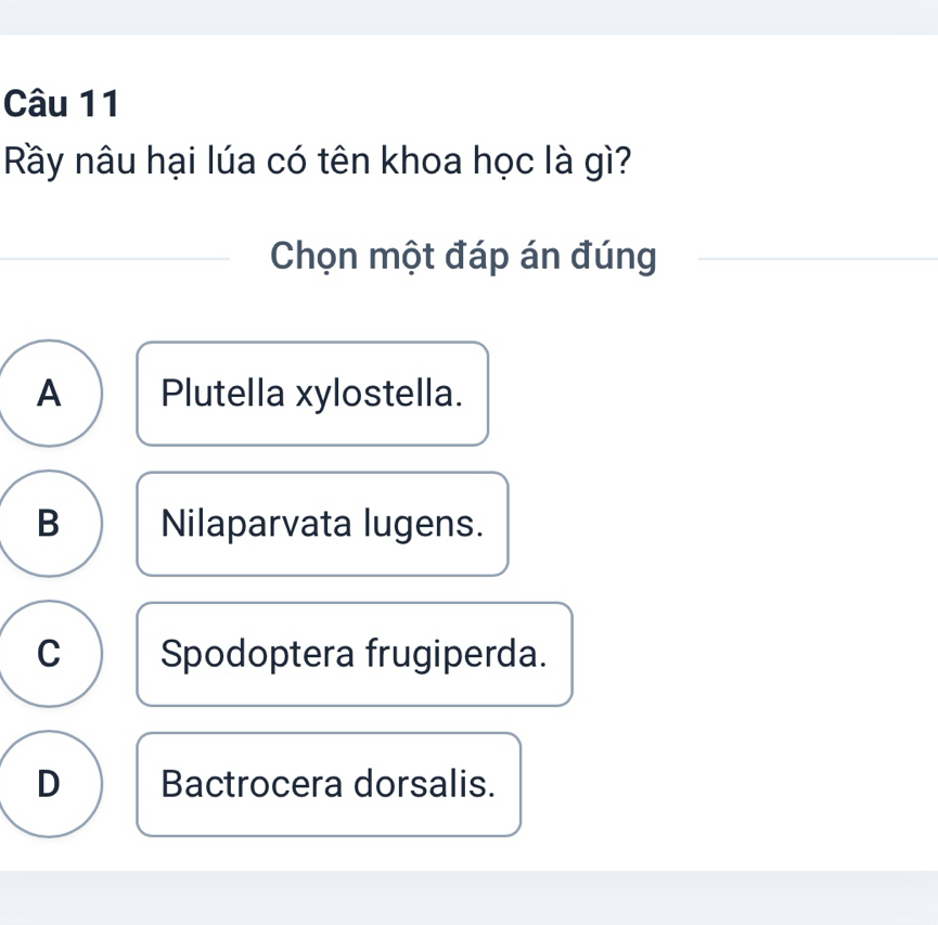 Rây nâu hại lúa có tên khoa học là gì?
Chọn một đáp án đúng
A Plutella xylostella.
B Nilaparvata lugens.
C Spodoptera frugiperda.
D Bactrocera dorsalis.