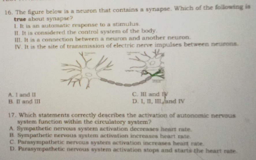 The figure below is a neuron that contains a synapse. Which of the following is
true about synapse?
I. It is an automatic response to a stimulus.
II. It is considered the control system of the body.
III. It is a connection between a neuron and another neuron.
IV. It is the site of transmission of electric nerve impulses between neurons.
A. I and II C. II and IV
B. II and III D. I, II, III, and IV
17. Which statements correctly describes the activation of autonomic nervous
system function within the circulatory system?
A. Sympathetic nervous system activation decreases heart rate.
B. Sympathetic nervous system activation increases heart rate.
C. Parasympathetic nervous system activation increases heart rate.
D. Parasympathetic nervous system activation stops and starts the heart rate.