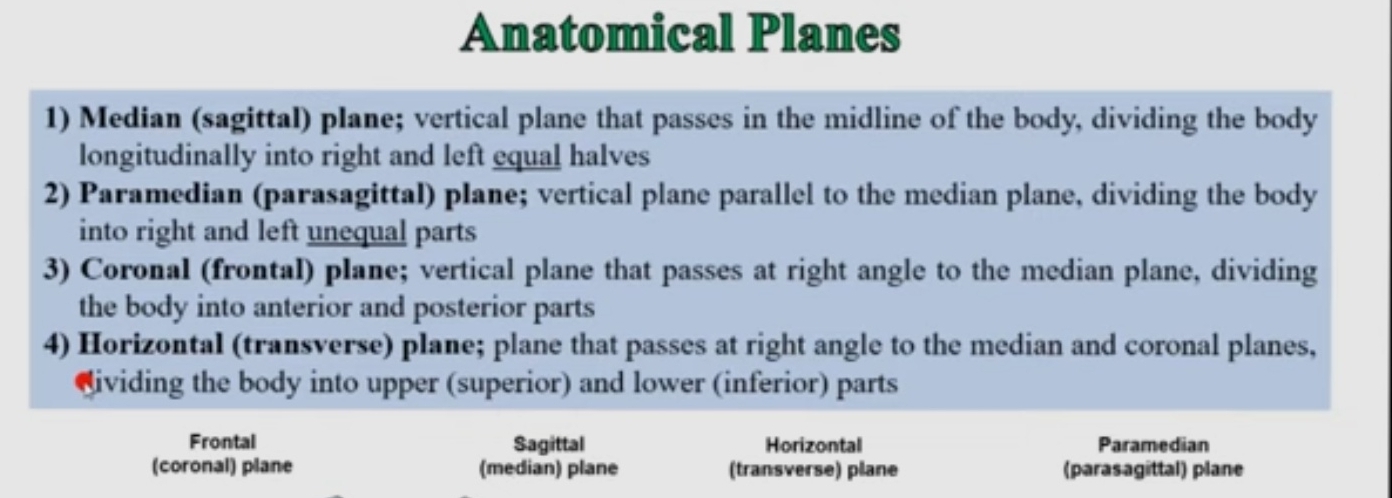 Anatomical Planes
1) Median (sagittal) plane; vertical plane that passes in the midline of the body, dividing the body
longitudinally into right and left equal halves
2) Paramedian (parasagittal) plane; vertical plane parallel to the median plane, dividing the body
into right and left unequal parts
3) Coronal (frontal) plane; vertical plane that passes at right angle to the median plane, dividing
the body into anterior and posterior parts
4) Horizontal (transverse) plane; plane that passes at right angle to the median and coronal planes,
dividing the body into upper (superior) and lower (inferior) parts
Frontal Sagittal Horizontal Paramedian
(coronal) plane (median) plane (transverse) plane (parasagittal) plane