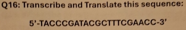 Transcribe and Translate this sequence: 
5'-TACCCGATACGCTTTCGAACC-3'