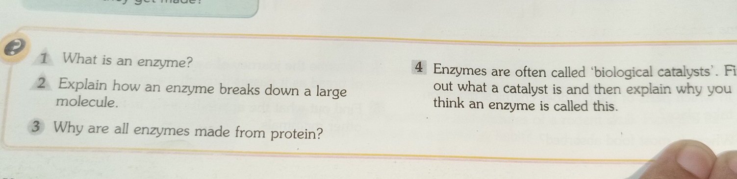 What is an enzyme? 
4 Enzymes are often called ‘biological catalysts’. Fi 
2 Explain how an enzyme breaks down a large out what a catalyst is and then explain why you 
molecule. 
think an enzyme is called this. 
3 Why are all enzymes made from protein?