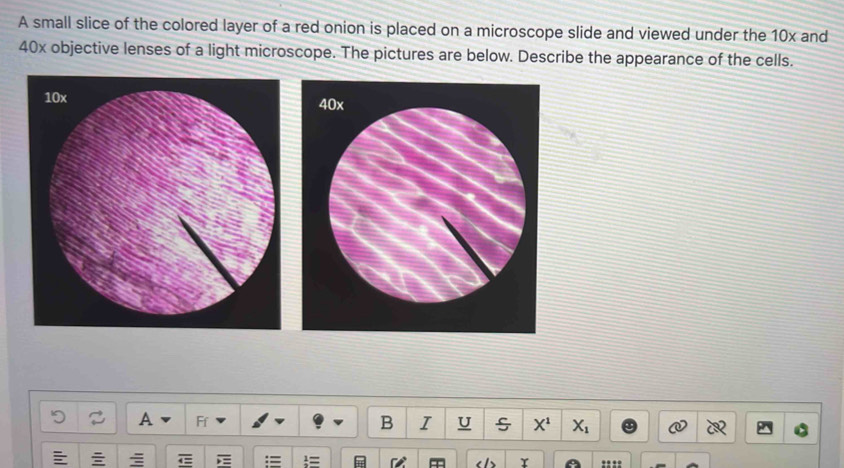 A small slice of the colored layer of a red onion is placed on a microscope slide and viewed under the 10x and
40x objective lenses of a light microscope. The pictures are below. Describe the appearance of the cells.
40x
A Ff B I U s X^1 X_1
r