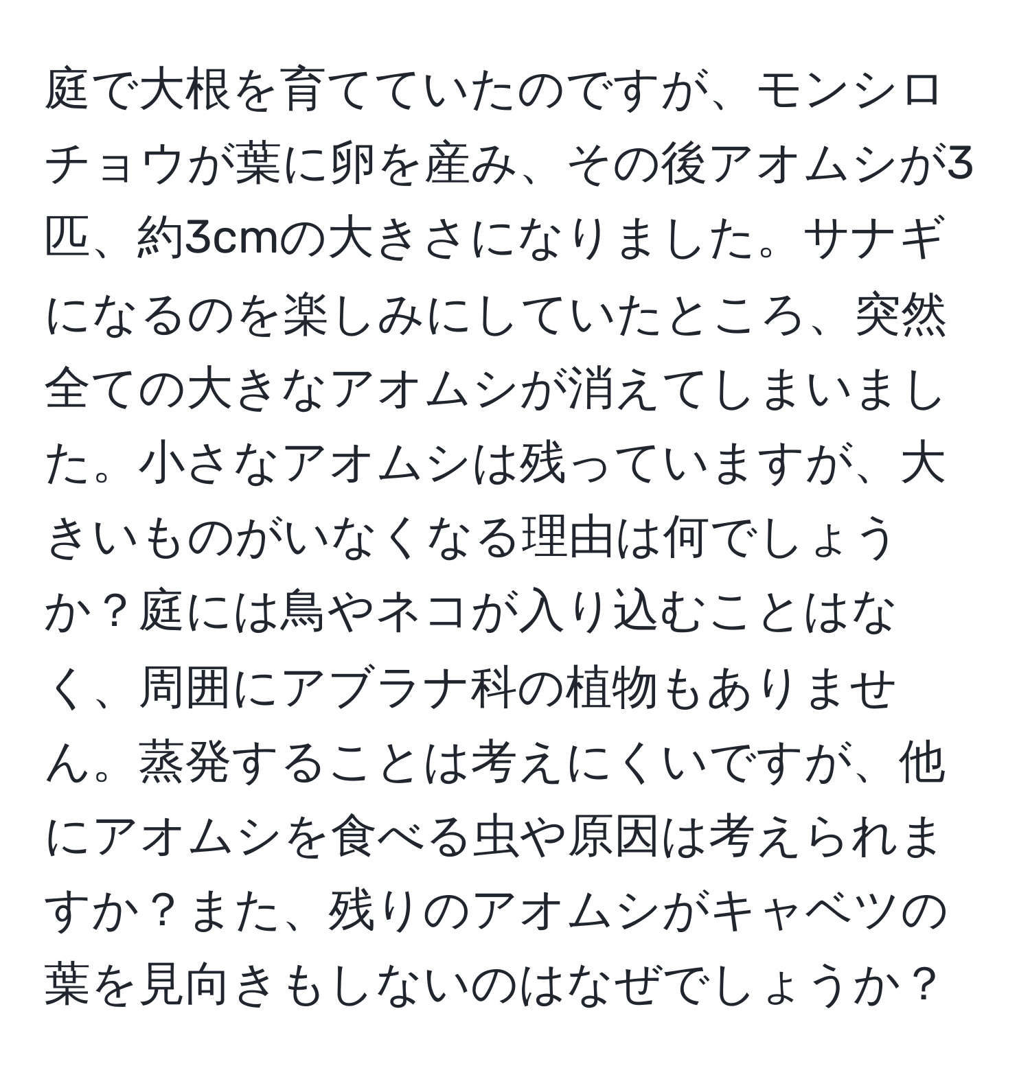 庭で大根を育てていたのですが、モンシロチョウが葉に卵を産み、その後アオムシが3匹、約3cmの大きさになりました。サナギになるのを楽しみにしていたところ、突然全ての大きなアオムシが消えてしまいました。小さなアオムシは残っていますが、大きいものがいなくなる理由は何でしょうか？庭には鳥やネコが入り込むことはなく、周囲にアブラナ科の植物もありません。蒸発することは考えにくいですが、他にアオムシを食べる虫や原因は考えられますか？また、残りのアオムシがキャベツの葉を見向きもしないのはなぜでしょうか？