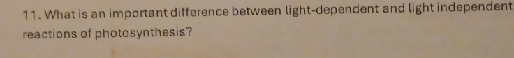 What is an important difference between light-dependent and light independent 
reactions of photosynthesis?