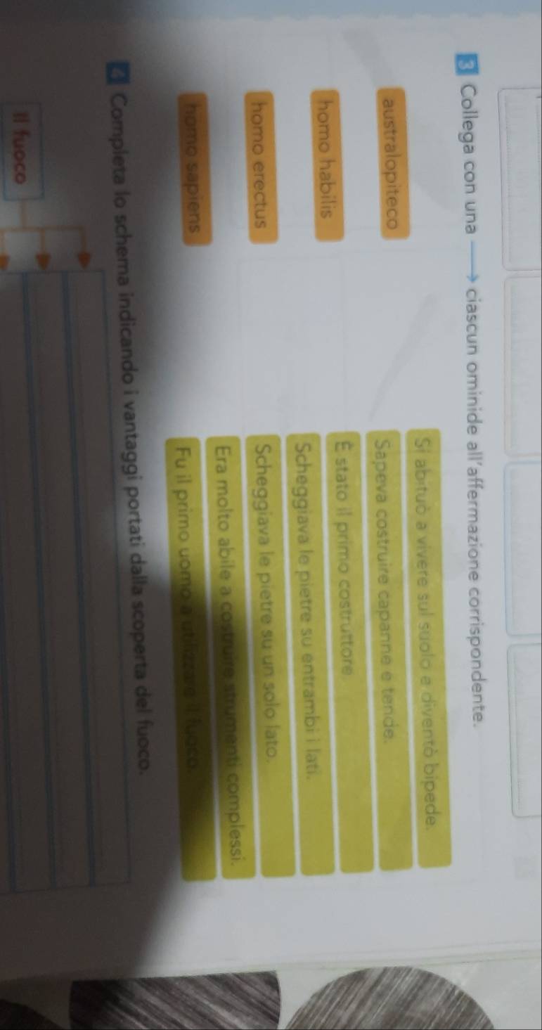 ₹Collega con una —→ ciascun ominide all’affermazione corrispondente.
Si abituò a vivere sul suolo e diventò bipede.
australopiteco
Sapeva costruire capanne e tende.
É stato il primo costruttore.
homo habilis
Scheggiava le pietre su entrambi i lati.
homo erectus
Scheggiava le pietre su un solo lato.
Era molto abile a costruire strumenti complessi.
homo sapiens
Fu il primo uomo a utilizzare il fuoco.
4 Completa lo schema indicando i vantaggi portati dalla scoperta del fuoco.
ll fuoco