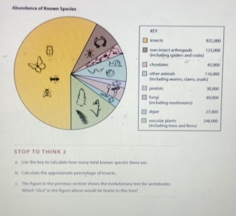 Abundance of Known Species 
KEY 
insects 925,000
non-insect arthropods (including spiders and crabs) 123,000
chordates 43,000
116,000
other animals incdn wom s, clam ok 
protists 30,000
(including mushrooms) fungi 69.000
algiae 27,000
including trees and fers] vasculae pfants 248,000
STOP TO THINK 2 
he key to calculate how many total known snecies there are 
h. Calculate the approximate percentage of insects. 
c. The figure in the previous section shows the evollutionary tree for vertebrates 
Which "slice" in the figuse above would be home to this tree?