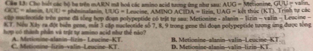 Cầu 1ã: Cho biết các bộ ba trên mARN mã hoá các amino acid tương ứng như sau: AUG= = Metionine GUU= valin,
OOC= MO= phéminalanin. UUG=1 eucine, AMINO ACIDA= lizin, UAG= kết thúc (KT), Trình tự các
t ập muclectide trên gene đã tổng hợp đoạn polypeptide có trật tự sau: Metionine - alanin - lizin - valin - Leucine -
X T. Neu Xay ra đột biển gene, mắt 3 cập nucleotide số 7, 8, 9 trong gene thi đoạn polypeptide tương ứng được tổng
hợp có thính phần và trật tự amino acid như thể não?
A. Metionine-alanin-fizin- Leucine-KT. B. Metionine--alanin-valin--Leucine--KT.
C. Metionine-lizin-valin-Leucine-KT. D. Metionine-alanin--valin--lizin--KT.