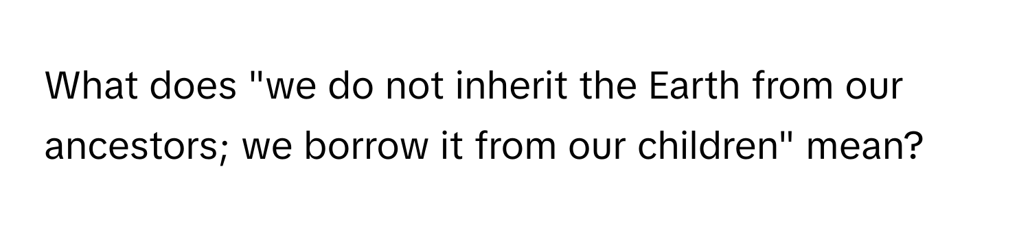 What does "we do not inherit the Earth from our ancestors; we borrow it from our children" mean?