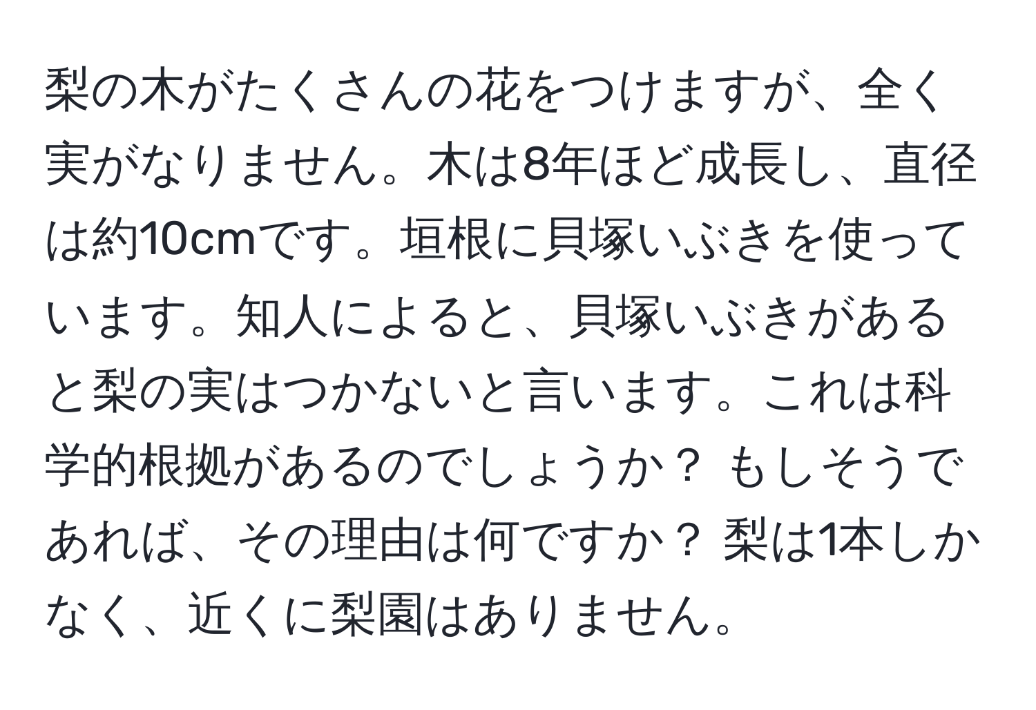 梨の木がたくさんの花をつけますが、全く実がなりません。木は8年ほど成長し、直径は約10cmです。垣根に貝塚いぶきを使っています。知人によると、貝塚いぶきがあると梨の実はつかないと言います。これは科学的根拠があるのでしょうか？ もしそうであれば、その理由は何ですか？ 梨は1本しかなく、近くに梨園はありません。