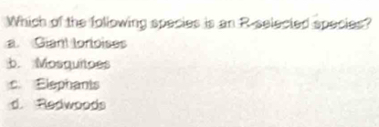 Which of the following species is an R-selected species?
a Giant lorloises
b. Mosquitoes
c. Elephants
d. Redwoods