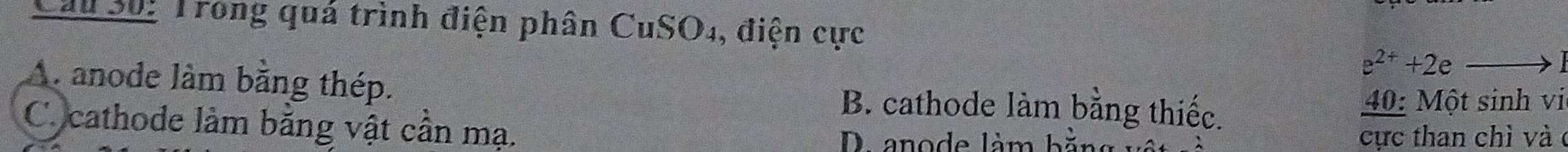 Cầu Số: Trong quá trình điện phân CuSO4, điện cực
e^(2+)+2e
A. anode làm bằng thép. B. cathode làm bằng thiếc.
40: Một sinh vi
C. cathode làm bằng vật cần mạ. D. anode làm bằng
cực than chì và c